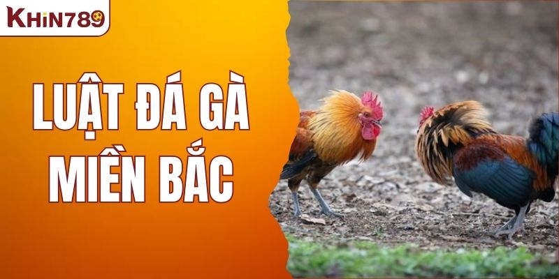 Luật Đá Gà Miền Bắc - Thông Tin Mới Nhất Về Điều Khoản