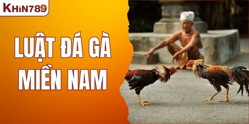 Luật Đá Gà Miền Nam - Tìm Hiểu Về Các Quy Định Cơ Bản