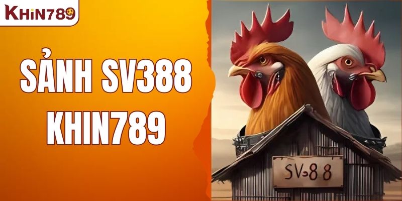 Sảnh SV388 – Trải Nghiệm Cá Cược Đá Gà Hợp Pháp Tại KHIN789