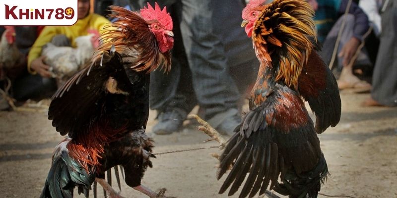 Thông tin được bảo mật tối đa
