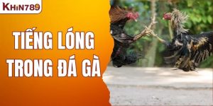 Tiếng Lóng Trong Đá Gà - Hiểu Rõ Thuật Ngữ Để Tự Tin Chơi