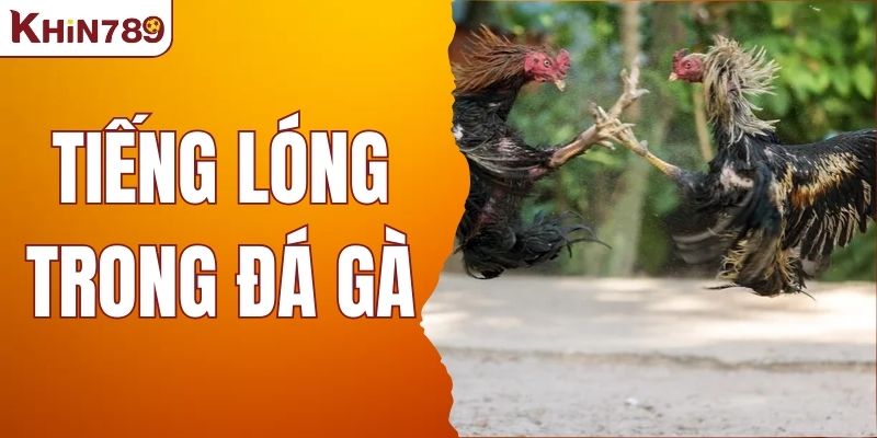 Tiếng Lóng Trong Đá Gà - Hiểu Rõ Thuật Ngữ Để Tự Tin Chơi
